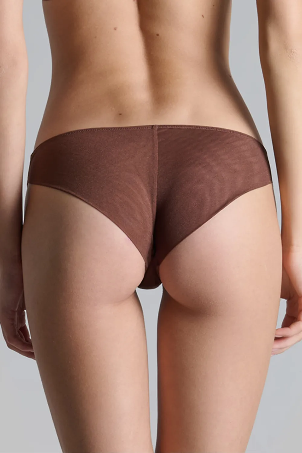 Corps  Corps Brief Brown