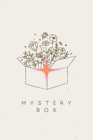 Mystery Box