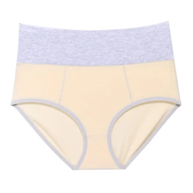 Women Cotton Brief High Waist Pant